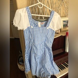 Dorothy wizard of oz costume